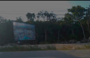 Empresa del Ejército será administradora del Parque Nacional ‘El Jaguar’ en Tulum