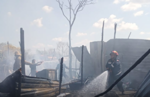 SIETE PERRITOS CALCINADOS EN INCENDIO EN YUCATÁN