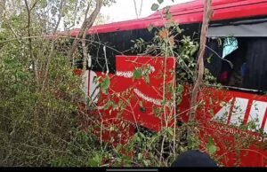 ¡Se sale de la carretera autobús del ADO en la carretera MÉRIDA–CANCÚN!