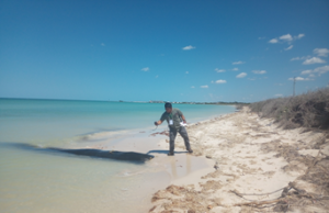 Pobladores de Sisal colocan Geotubos en sus costas para evitar la erosión