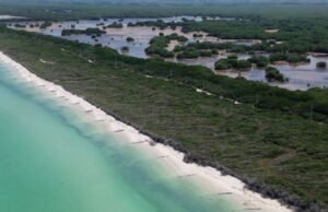 Revés de la Federación; PARAÍSO SISAL, EN REGLA