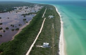 Retrocede Oceana; se desvincula de acusaciones contra Paraíso Sisal