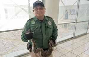 “La ‘Zona Cero’: Refugio Natural para Animales Rescatados en Progreso”