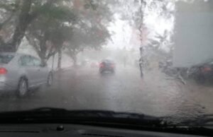 “Clima en Yucatán: Impacto del Frente Frío Número 17 en la Región y Cambios en el Ambiente”