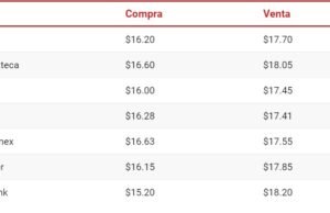 “Precio del dólar HOY 19 de diciembre: Sexta Jornada de Ganancias frente al Dólar”