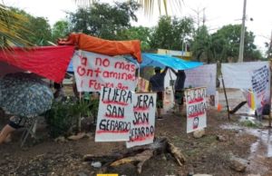 Jueza federal ordena suspensión de la granja porcícola de Santa María Chi