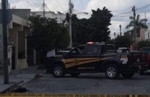 Macabro Descubrimiento en Residencial Pensiones: Perro Hallado sin Vida y Herido en Calles Mérida