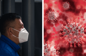 “Identificación de la Subvariante Pirola: Evaluación de Riesgos y Medidas Preventivas”