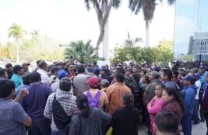 “Campeche como Intermediario: Maseca Compra Maíz Local sin Regateos”