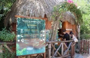 “Cooperativa Záaz Koolen Háa: Una Historia de Éxito en el Turismo Comunitario en Yucatán”