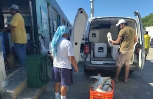 “Estabilidad en los Precios del Mero: Antes de la Veda y en Previsión de la Cuaresma”