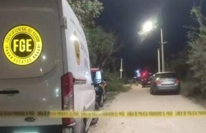 Despliegue de la Fiscalía: Levantan osamenta tras descubrimiento escalofriante en camino de terracería