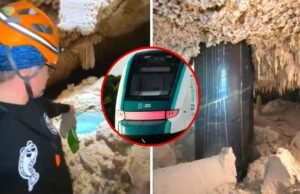 “Ecologistas Acusan a AMLO de Mentir: El Tren Maya Causa Graves Daños Ambientales en la Península de Yucatán”