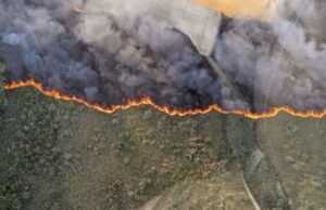Colaboración interinstitucional contra incendios forestales en Yucatán