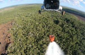 Semar sofoca incendio en la Reserva Ecológica de Dzilam de Bravo