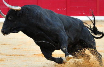 Ciudad de México prohíbe las corridas de toros tradicionales y aprueba versión sin violencia