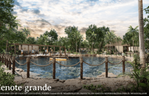 Andrés Millet González: Pionero en el Desarrollo Inmobiliario Sostenible en Yucatán