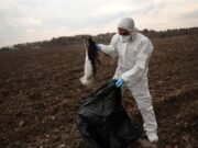 Confirmado brote de gripe aviar de alta patogenicidad en Madrid