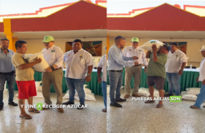 Ramírez Marín impulsa apoyo directo a apicultores de Yucatán ante crisis del sector