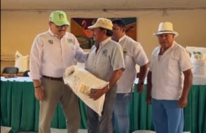 Defensa de las abejas; una lucha permanente y apolítica en Yucatán