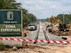 Expropian tierras ejidales en Yucatán, Campeche y Quintana Roo para los tramos 2, 3 y 6 del proyecto ferroviario