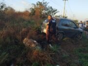 Joven de Motul resulta lesionado tras accidente en la carretera Motul–Muxupip