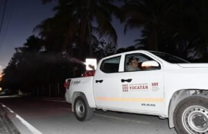 SSY intensifica combate al mosquito con operativo en la costa de Yucatán