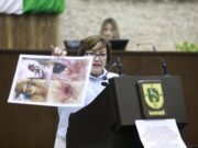 ACUSAN DESINFORMACIÓN EN EL CONGRESO: USAN IMÁGENES DE EUROPA PARA GENERAR ALARMA EN YUCATÁN