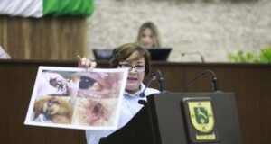 ACUSAN DESINFORMACIÓN EN EL CONGRESO: USAN IMÁGENES DE EUROPA PARA GENERAR ALARMA EN YUCATÁN