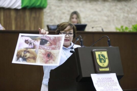 ACUSAN DESINFORMACIÓN EN EL CONGRESO: USAN IMÁGENES DE EUROPA PARA GENERAR ALARMA EN YUCATÁN