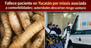 Fallece paciente en Yucatán por miasis asociada a comorbilidades; autoridades descartan riesgo sanitario