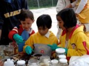 Presentan la edición 75 de la Gaceta Siidetey con 17 artículos científicos sobre biodiversidad, tecnología y cultura maya