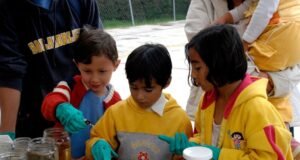 Presentan la edición 75 de la Gaceta Siidetey con 17 artículos científicos sobre biodiversidad, tecnología y cultura maya