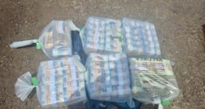 Decomiso millonario en Sinaloa: caen dos hombres con 25 millones de pesos en efectivo en Ahome