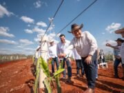 Pitahaya VAlley posiciona a Yucatán como referente nacional en producción de Pitahaya