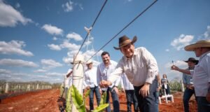 Pitahaya VAlley posiciona a Yucatán como referente nacional en producción de Pitahaya