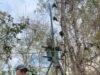 Científicos de la UNAM desarrollan sistema para monitorear calor extremo y contaminación en Yucatán