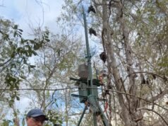 Científicos de la UNAM desarrollan sistema para monitorear calor extremo y contaminación en Yucatán