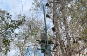 Científicos de la UNAM desarrollan sistema para monitorear calor extremo y contaminación en Yucatán