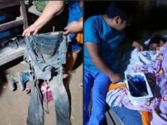 Adolescente sobrevive 23 días perdido en la selva junto a su perro y logra regresar con vida