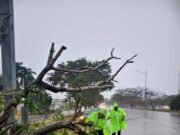 Fuertes lluvias y vientos generan 75 emergencias en Yucatán; SSP mantiene operativo de atención