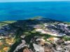 Amazonia yucateca: fotógrafo revela la riqueza oculta de los manglares del norte de la Península
