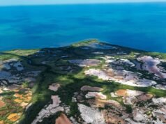 Amazonia yucateca: fotógrafo revela la riqueza oculta de los manglares del norte de la Península