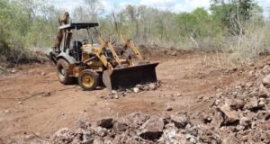 Clausuran predio por desmonte ilegal en la Reserva Cuxtal; aseguran maquinaria pesada