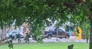 Crece preocupación en Francisco de Montejo tras hallar a perrita amarrada en parque