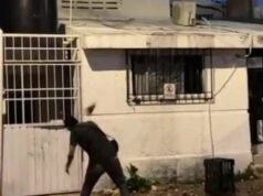 Lo que durante décadas fue una de las zonas más dinámicas y tradicionales de Mérida, hoy muestra un panorama marcado por predios abandonados, negocios cerrados y propiedades en venta. A lo largo de la calle 60, desde la emblemática avenida Colón hasta las inmediaciones del estadio Salvador Alvarado, aún sobreviven algunos hoteles y comercios; sin embargo, gran parte de las viviendas y establecimientos que daban vida al sector han desaparecido o permanecen cerrados. Vecinos y personas que frecuentaron la zona recuerdan que en las décadas de los 70 y 80 este corredor era uno de los puntos más concurridos de la ciudad, donde familias completas convivían y numerosos negocios mantenían gran actividad, especialmente durante temporadas festivas como la Navidad. Uno de los lugares más recordados es el restaurante “La Tradición”, considerado durante años punto de encuentro de familias y figuras políticas de la época, pero que actualmente dejó de operar. Otro de los cambios que impactó la actividad de la zona fue el traslado del Consulado Americano, inmueble que durante años generó importante movimiento debido a las largas filas de personas que acudían diariamente a realizar trámites para viajar a Estados Unidos. Hace aproximadamente seis meses, la sede fue reubicada al norte de Mérida. Asimismo, oficinas federales que anteriormente operaban en la colonia Alcalá Martín, sobre avenida Cupules, también fueron trasladadas hacia la zona de Circuito Colonias y Tanlum. Aunque se desconocen las razones específicas por las que muchas propiedades quedaron en abandono, algunas versiones apuntan a procesos legales, falta de herederos o cambios generacionales que provocaron el desuso de numerosos inmuebles. Pese al deterioro visible en algunos predios, todavía permanecen viviendas antiguas y construcciones que conservan parte del encanto arquitectónico de la zona y continúan siendo símbolo de una etapa importante en la historia urbana de Mérida. Con el crecimiento de nuevos fraccionamientos y el desarrollo de otras áreas de la ciudad, este tradicional sector ha experimentado una transformación que refleja cómo el paso del tiempo y los cambios sociales también modifican la vida de los barrios y sus espacios más representativos.