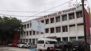 CODHEY y organismos internacionales impulsan diálogo sobre inclusión y ciudadanía plena de personas LGBTI+ en Yucatán
