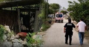 TRAGEDIA EN MAXCANÚ: ABUELITO MUERE TRAS ATAQUE DE ABEJAS EN SU PROPIO PREDIO