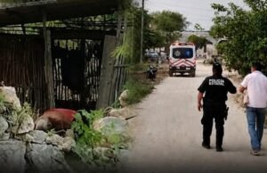 TRAGEDIA EN MAXCANÚ: ABUELITO MUERE TRAS ATAQUE DE ABEJAS EN SU PROPIO PREDIO