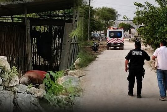 TRAGEDIA EN MAXCANÚ: ABUELITO MUERE TRAS ATAQUE DE ABEJAS EN SU PROPIO PREDIO